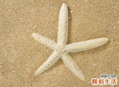 唯美好听的森系微信网名，简单有气质的微信经典名字