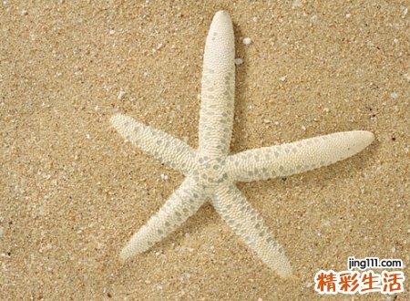 唯美好听的森系微信网名，简单有气质的微信经典名字