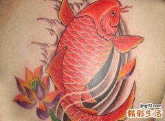 锦鲤纹身纹在哪里招财