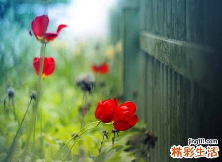 独一无二优雅的抖音网名，高冷霸气的经典个性昵称