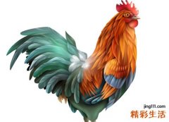 梦见鸡是什么意思，做梦梦到一群鸡预示着什么