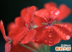 可爱呆萌二次元微信网名，呆萌小萝莉迷人的微信可爱名字