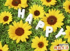 极具个性的小清新微信网名，森系可爱的微信简约名字