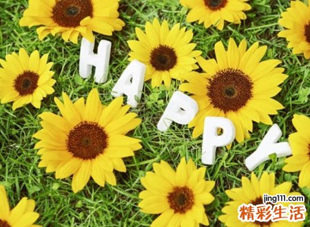 极具个性的小清新微信网名，森系可爱的微信简约名字