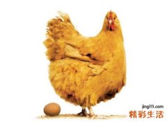 梦见母鸡下蛋还去捡了好吗，已婚女人梦见捡鸡蛋