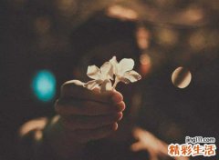 西四命是什么意思