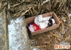 梦见弃婴还活着被扔了好吗，做梦梦到别人遗弃的婴儿