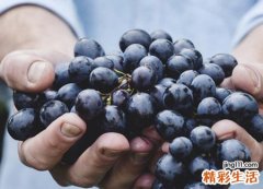 女人梦见吃葡萄是胎梦好不好，孕妇梦见一串串紫葡萄
