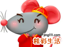 生肖鼠未来一个月运势 属鼠今年每个月的运势