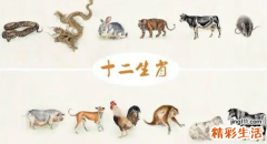 属相未来一个月运势 未来一年运势大的生肖