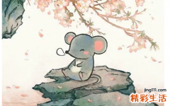 2022生肖鼠感情运势 生肖鼠2022年财运