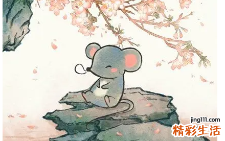 2022生肖鼠感情运势 生肖鼠2022年财运