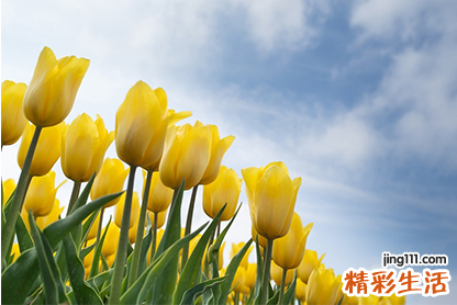 2022年8月12日黄道吉日查询 2022年8月12日黄历吉时查询