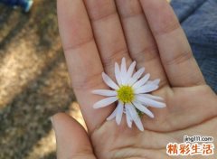 女生左手掌上有痣好不好