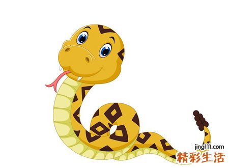 家里出现小蛇是吉是凶