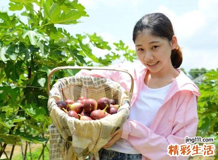 属马的幸运颜色和招财色，生肖属马人的禁忌颜色