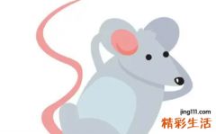 1972属鼠的是什么命 1972属鼠2022年每月运势及运程