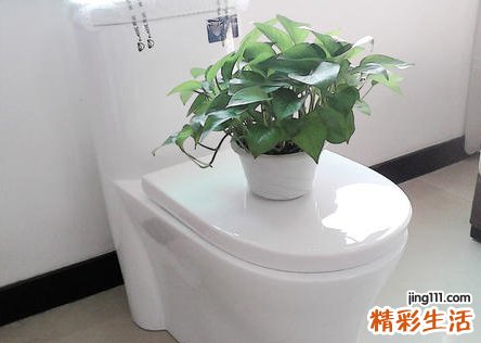 梦到马桶堵了自己通马桶有什么预兆，梦见自己疏通马桶