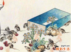 72年生肖鼠天秤座2022运势 72年属鼠天秤座男运势