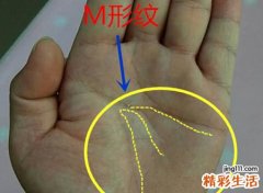 m型掌纹的人多吗