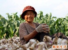 劳碌命的女人面相