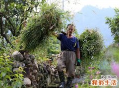梦见死去的外公是什么意思，女人梦见死去的外公
