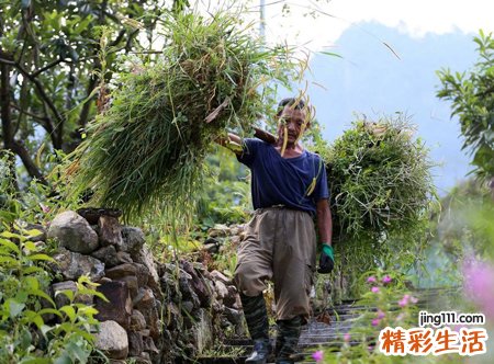 梦见死去的外公是什么意思，女人梦见死去的外公