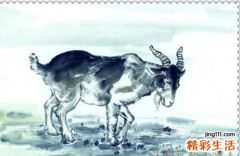 1979属羊十年大运 1979属羊的是什么命的人