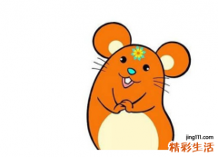 84年属鼠十年大运 84年属鼠是什么命
