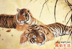 七四属虎未来十年大运 七四属虎女五月份的运势