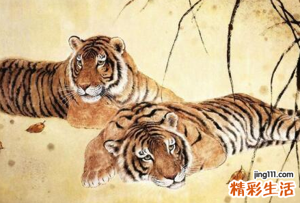 七四属虎未来十年大运 七四属虎女五月份的运势