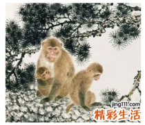 属猴的人未来十年大运 属猴的人性格和优缺点