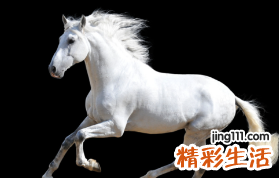 1978生肖马男什么命会添丁 1978生肖马男在2022年运势