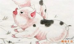 71年生肖猪2022年两喜缠身 71年生肖猪2022年运势及运程