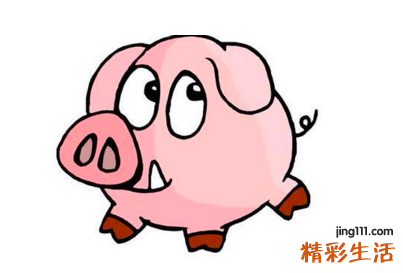 2022年生肖全年运势详解 2022年生肖运势及运程