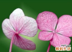 伤感好看的微信长名字，有深意的微信长昵称大全