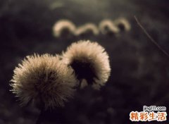 特别伤感悲伤的微信网名，心痛到撕心裂肺的微信伤感名字