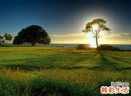 最悲痛的微信网名，伤心绝望的微信昵称大全