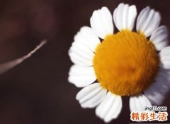 带点忧伤的微信昵称，最伤感的微信个性名字