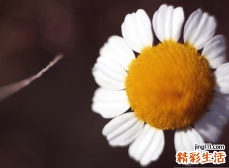 带点忧伤的微信昵称，最伤感的微信个性名字