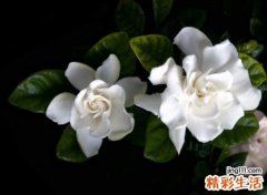 让人流泪心痛的抖音昵称，抖音特别火的心碎网名