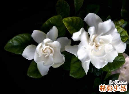 让人流泪心痛的抖音昵称，抖音特别火的心碎网名
