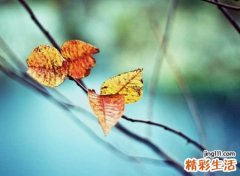 撕心裂肺的微信伤感名字，心被伤透了的微信网名