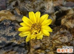 微信伤感网名，独一无二的微信伤感名字