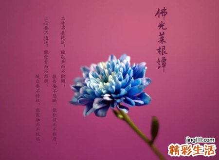 古典诗意的抖音个性名字，抖音取个有气质的网名