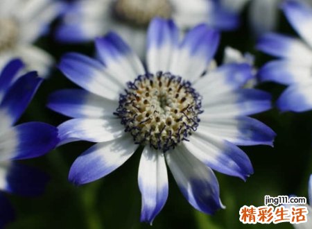 好听的伤感抖音昵称，个性好看的伤感抖音名字
