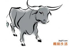 97年虎年运势怎么样 97年的今年运势怎么样