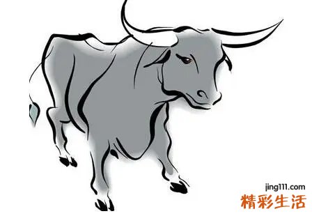 97年虎年运势怎么样 97年的今年运势怎么样