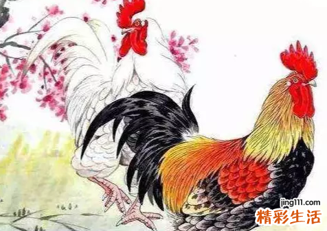 属猴和属鸡的合不合财 属猴和属鸡的人合得来吗