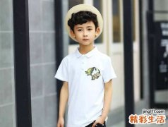 2010年属相是什么生肖，五行属什么